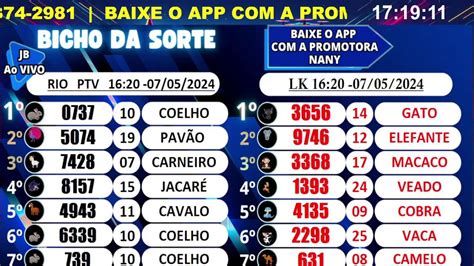 bicho da sorte